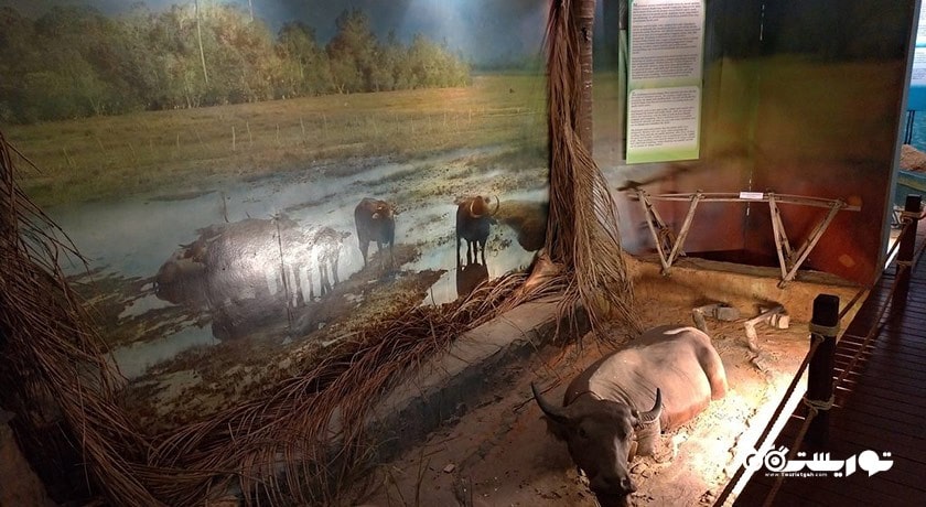  مجموعه فرهنگی صنایع دستی لنکاوی شهر مالزی کشور لنکاوی