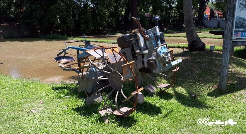  موزه باغ برنج لامان پدی شهر مالزی کشور لنکاوی