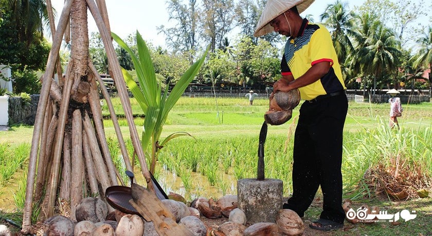  موزه باغ برنج لامان پدی شهر مالزی کشور لنکاوی