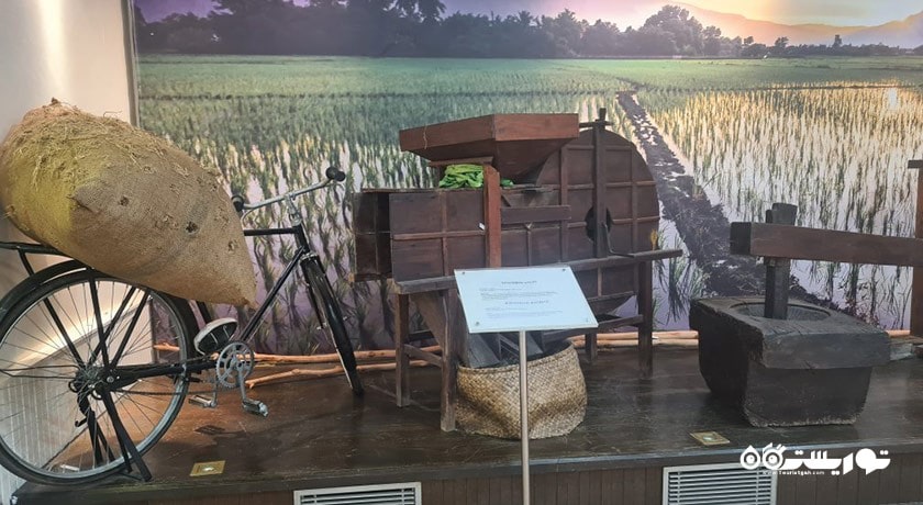  موزه باغ برنج لامان پدی شهر مالزی کشور لنکاوی