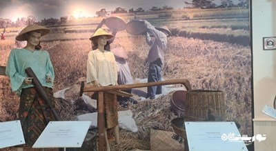  موزه باغ برنج لامان پدی شهر مالزی کشور لنکاوی