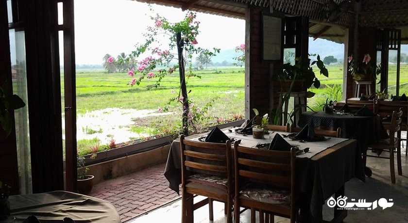 رستوران پیاز د پدی -  شهر لنکاوی