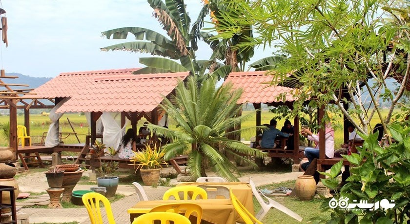 رستوران رستوران ناسی داگانگ پاک مالائو شهر لنکاوی 