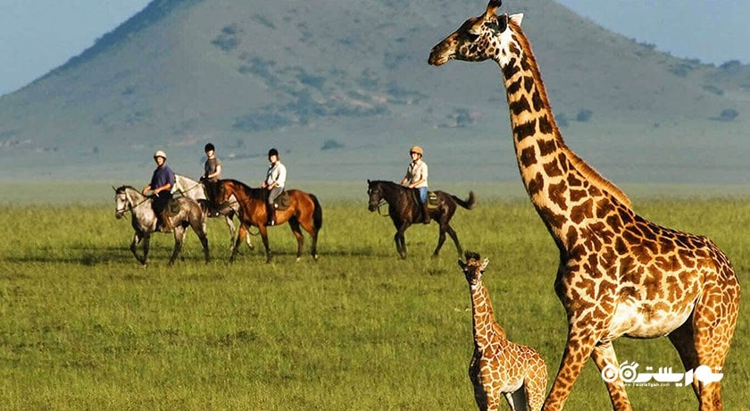 سرگرمی پارک حیات وحش لنکاوی شهر مالزی کشور لنکاوی