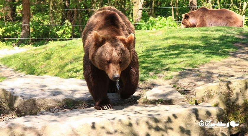 پارک حیات وحش لنکاوی -  شهر لنکاوی