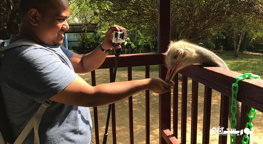 سرگرمی پارک حیات وحش لنکاوی شهر مالزی کشور لنکاوی