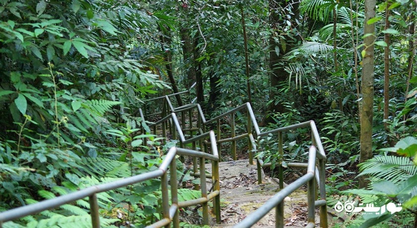  کوه گونانگ رایا شهر مالزی کشور لنکاوی