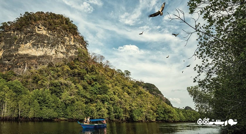 پارک کیلیم کارست ژئوفارست -  شهر لنکاوی