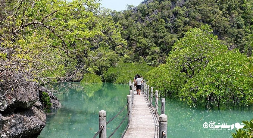 سرگرمی پارک کیلیم کارست ژئوفارست شهر مالزی کشور لنکاوی