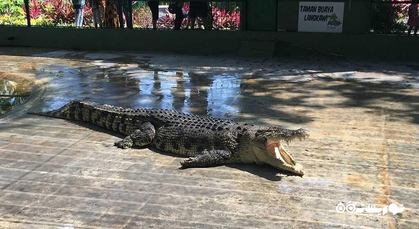 کروکدیل ادونچر لند -  شهر لنکاوی