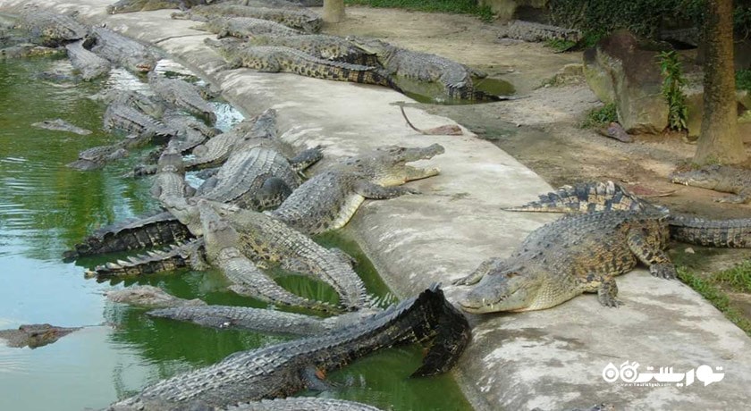 کروکدیل ادونچر لند -  شهر لنکاوی