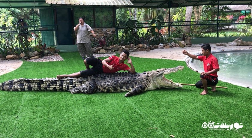 کروکدیل ادونچر لند -  شهر لنکاوی