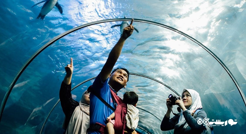 سرگرمی آکواریوم آندرواتر ورلد لنکاوی شهر مالزی کشور لنکاوی