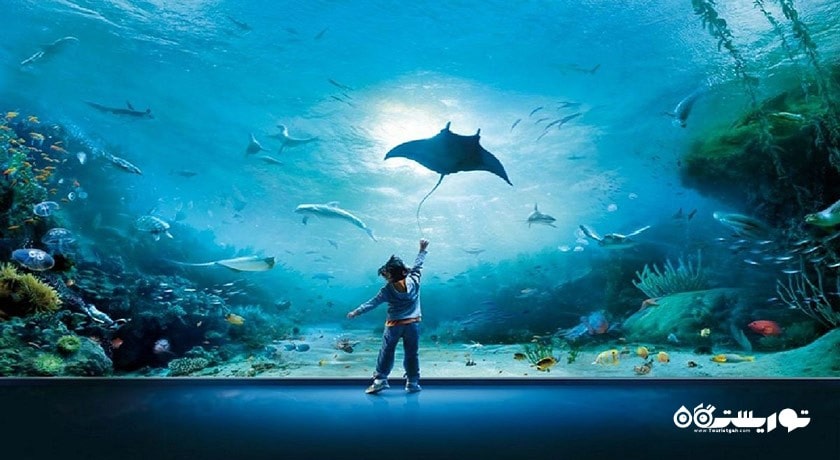 سرگرمی آکواریوم آندرواتر ورلد لنکاوی شهر مالزی کشور لنکاوی