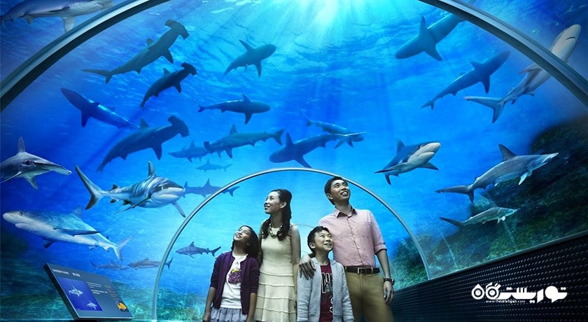 سرگرمی آکواریوم آندرواتر ورلد لنکاوی شهر مالزی کشور لنکاوی