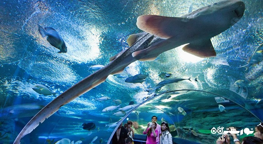 سرگرمی آکواریوم آندرواتر ورلد لنکاوی شهر مالزی کشور لنکاوی