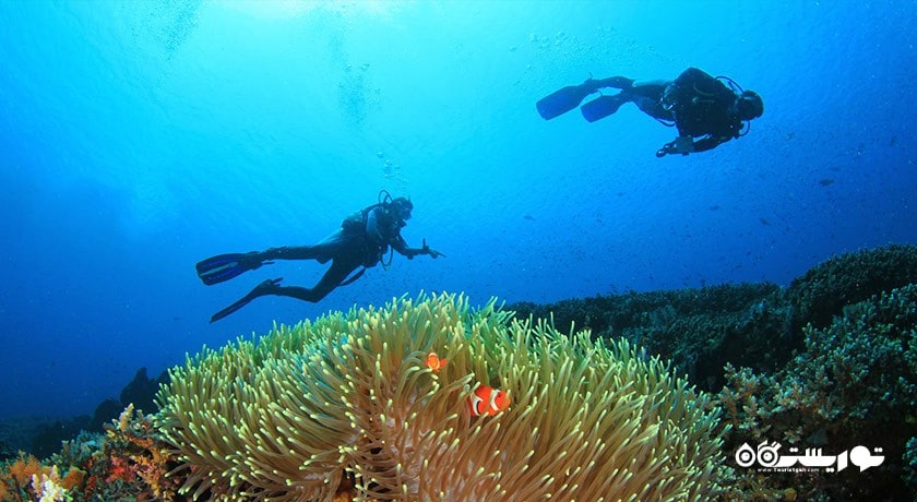 سرگرمی غواصی در لنکاوی شهر مالزی کشور لنکاوی