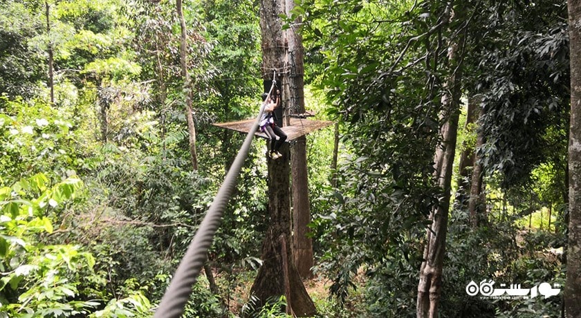 سرگرمی اسکای ترکس ادونچر شهر مالزی کشور لنکاوی