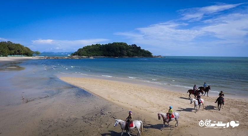 سرگرمی اسب سواری در لنکاوی شهر مالزی کشور لنکاوی