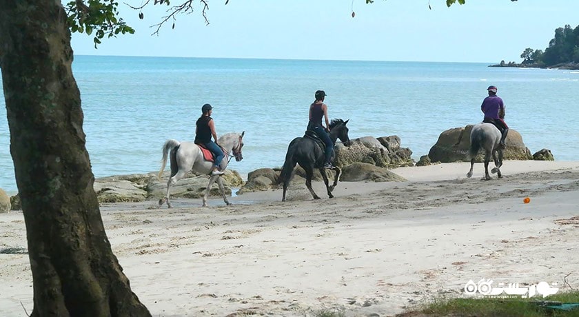 اسب سواری در لنکاوی -  شهر لنکاوی