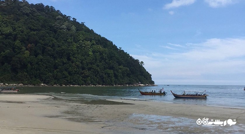 سرگرمی ساحل میمون شهر مالزی کشور پنانگ
