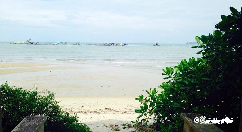 سرگرمی ساحل میمون شهر مالزی کشور پنانگ