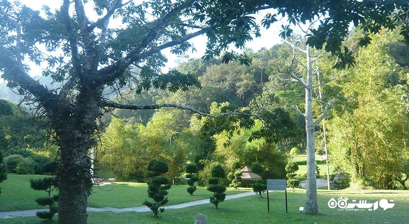 سرگرمی باغ های گیاه شناسی پنانگ شهر مالزی کشور پنانگ