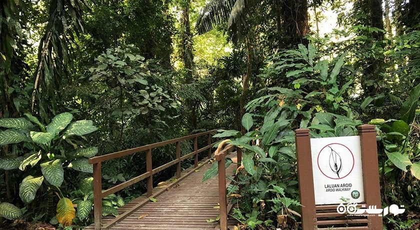 باغ های گیاه شناسی پنانگ -  شهر پنانگ