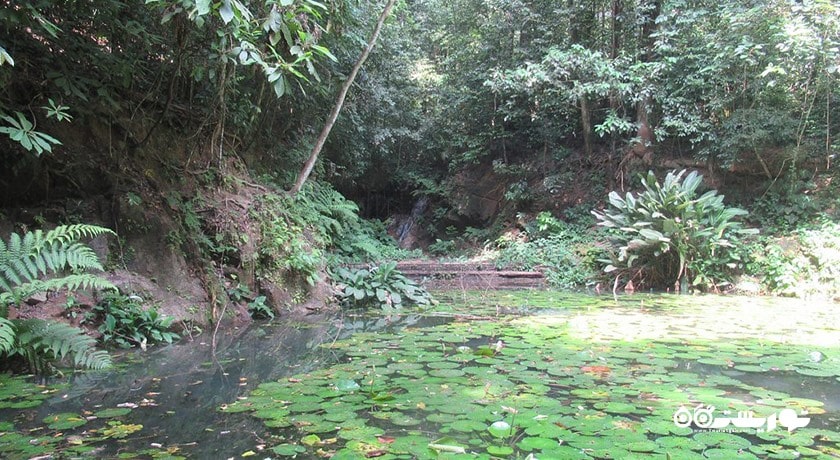 باغ های گیاه شناسی پنانگ -  شهر پنانگ