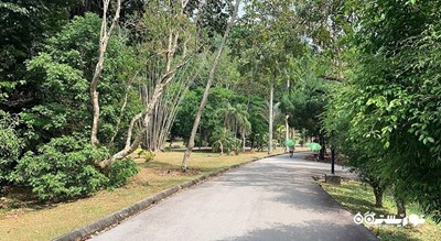 سرگرمی باغ های گیاه شناسی پنانگ شهر مالزی کشور پنانگ