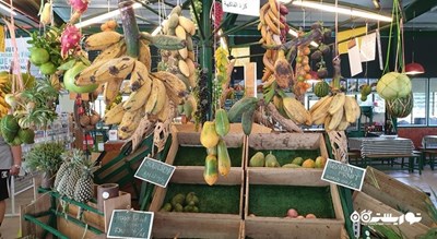 سرگرمی مزرعه میوه های گرمسیری پنانگ شهر مالزی کشور پنانگ