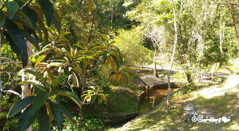 پارک تفریحی تلوک باهانگ -  شهر پنانگ