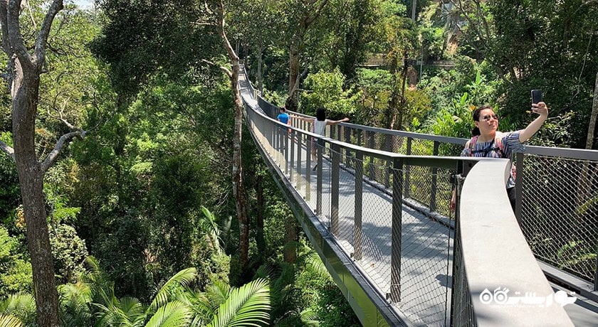 زیستگاه تپه پنانگ -  شهر پنانگ