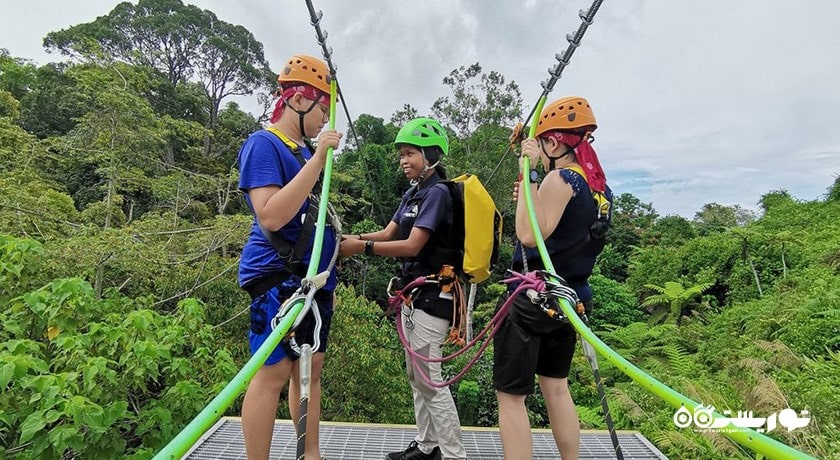 سرگرمی زیستگاه تپه پنانگ شهر مالزی کشور پنانگ