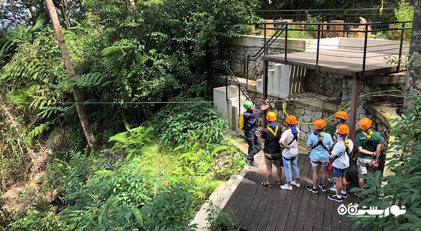 سرگرمی زیستگاه تپه پنانگ شهر مالزی کشور پنانگ