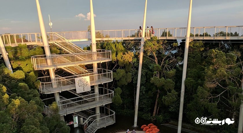 زیستگاه تپه پنانگ -  شهر پنانگ