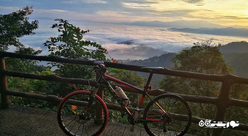 جنگل تفریحی بوکیت مرتاجام -  شهر پنانگ