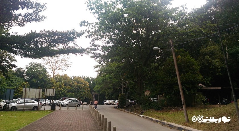 جنگل تفریحی بوکیت مرتاجام -  شهر پنانگ