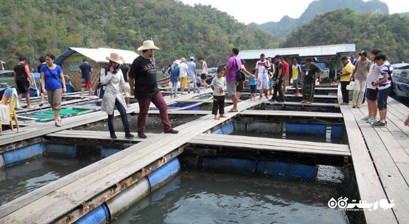 سرگرمی مزرعه ماهی شناور شهر مالزی کشور لنکاوی