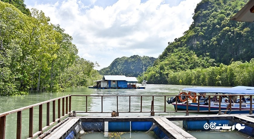 سرگرمی مزرعه ماهی شناور شهر مالزی کشور لنکاوی