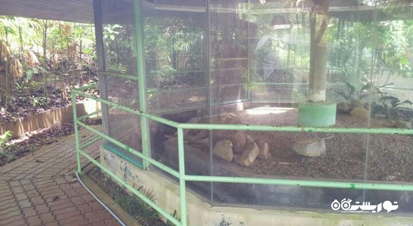 پناهگاه مار لنکاوی -  شهر لنکاوی