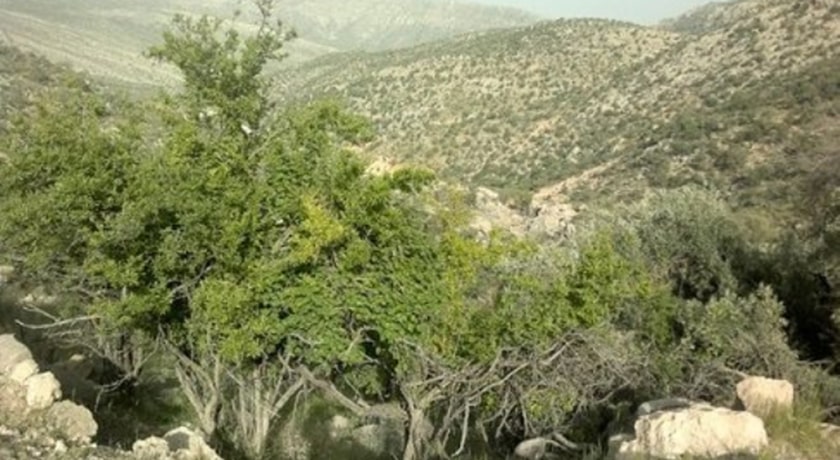  کوه سیاه چال شهرستان تهران استان تهران