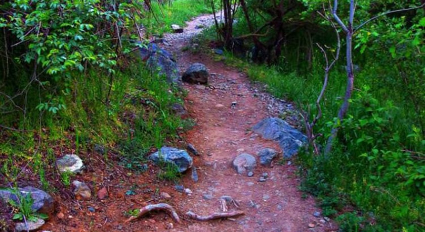  منطقه و پارک گلابدره شهر تهران استان تهران