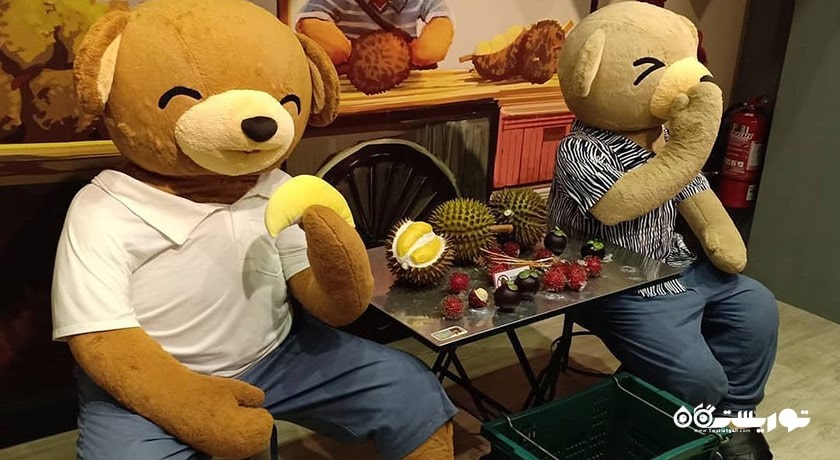 موزه تدیویل -  شهر پنانگ