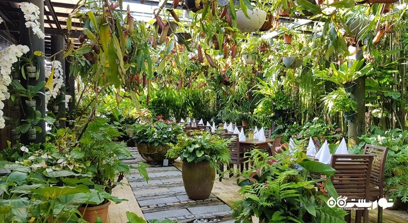 رستوران فرینگی گاردن -  شهر پنانگ