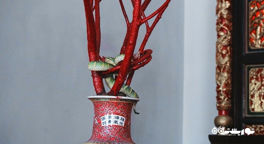  معبد مار پنانگ شهر مالزی کشور پنانگ