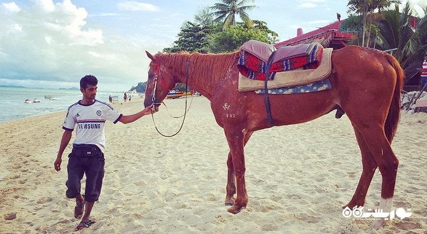 سرگرمی ورزش های آبی و ساحلی در باتو فرینگی شهر مالزی کشور پنانگ