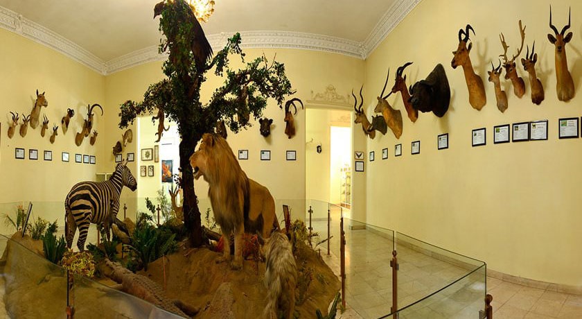  موزه آثار طبیعی و حیات وحش هفت چنار شهرستان تهران استان تهران