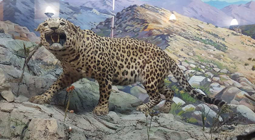  موزه آثار طبیعی و حیات وحش هفت چنار شهرستان تهران استان تهران