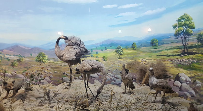  موزه آثار طبیعی و حیات وحش هفت چنار شهرستان تهران استان تهران